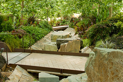 The natural ravine and tree-lined walkway that leads the visitor to a central clearing. The natural ravine and tree-lined walkway that leads the visitor to a central clearing.